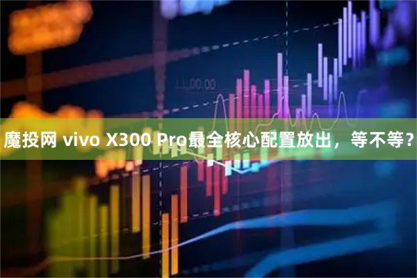 魔投网 vivo X300 Pro最全核心配置放出，等不等？